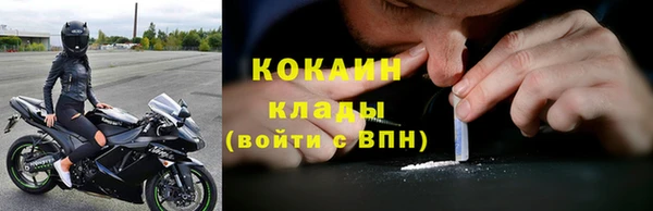 Альфа ПВП Лагань
