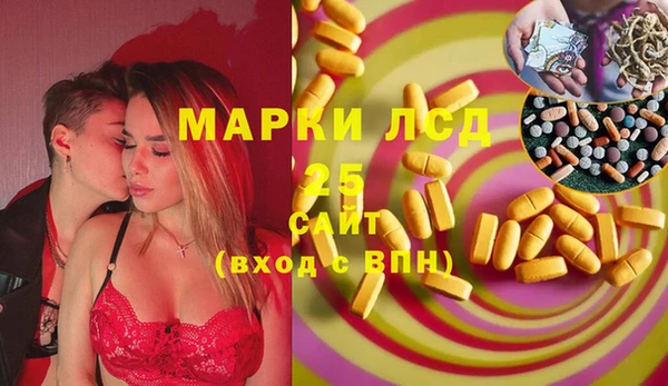 Альфа ПВП Лагань