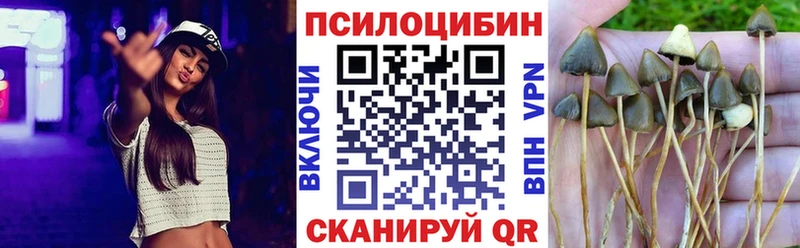 Псилоцибиновые грибы Cubensis  Купить  Обь 